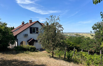 Eladó Zárt kert