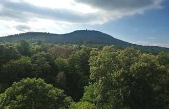 Eladó Társasházi lakás