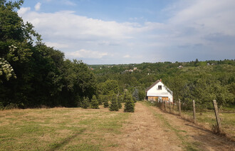 Eladó Zárt kert