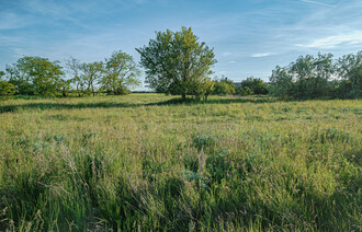 Eladó Telek