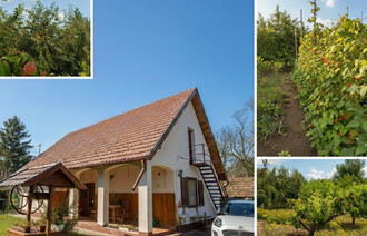 Eladó Családi ház