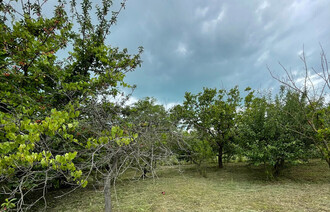 Eladó Telek