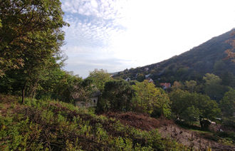Eladó Telek