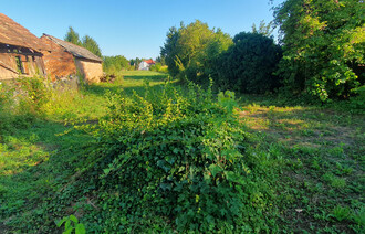 Eladó Telek
