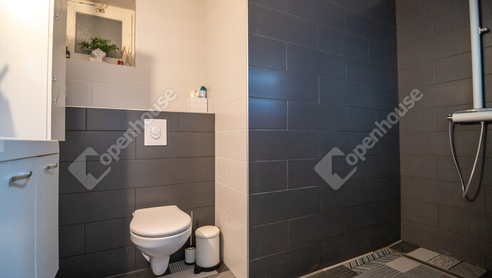 11. kép | Eladó Családi ház, Sóskút (#177471)