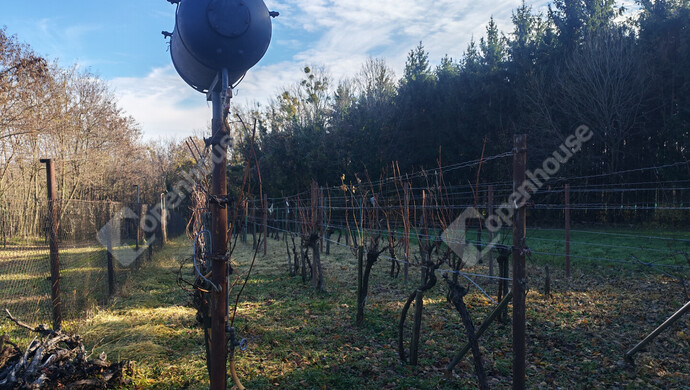 40. kép | Eladó Nyaraló, Letenye (#178652)