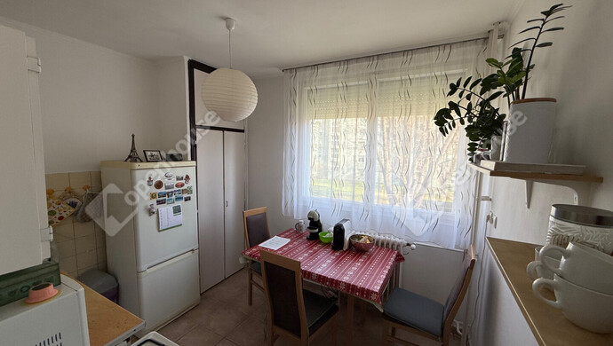 5. kép | Eladó Társasházi lakás, Zalaegerszeg (#180249)