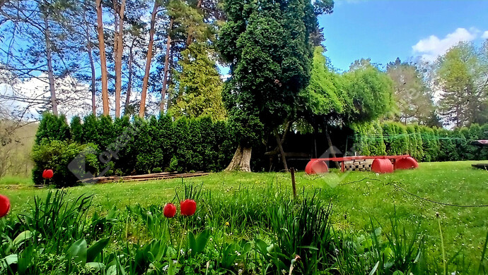 29. kép | Eladó Társasházi lakás, Gellénháza (#181243)