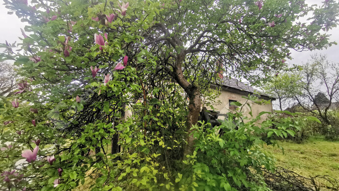 12. kép | Eladó Telek, Őrtilos (#174958)