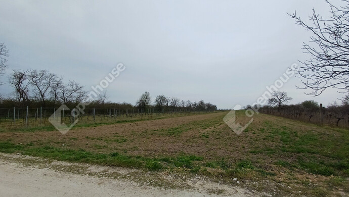 1. kép | Eladó Zárt kert, Fertőszentmiklós (#175670)