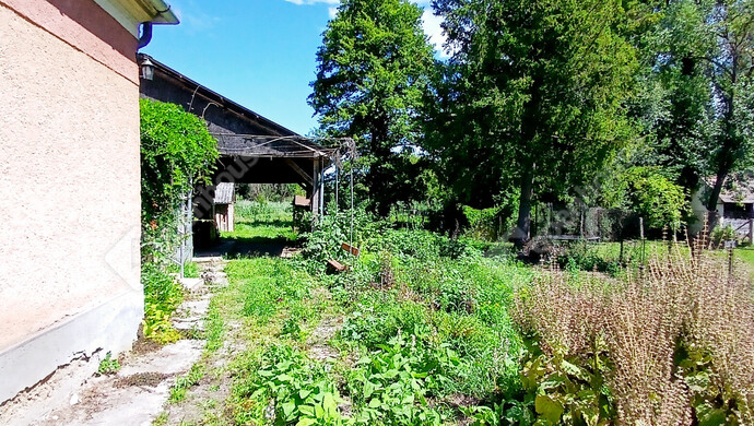 31. kép | Eladó Családi ház, Alsónemesapáti (#176205)