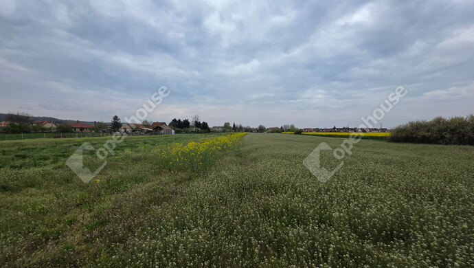 5. kép | Eladó Telek, Mályi (#181154)