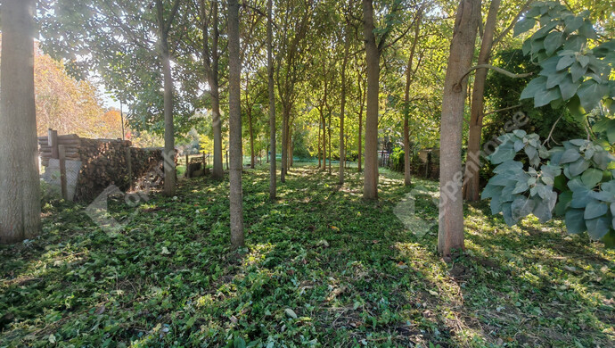 4. kép | Eladó Családi ház, Lengyeltóti (#178112)