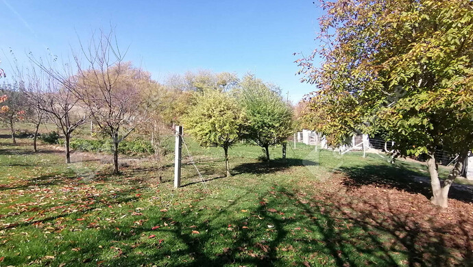 15. kép | Eladó Nyaraló, Pacsa (#178067)