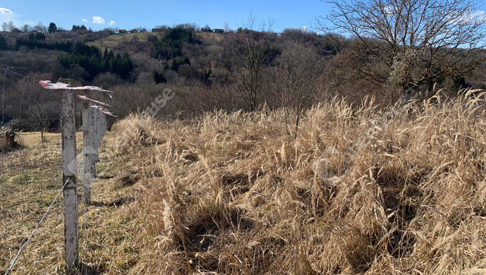 5. kép | Eladó Nyaraló, Homokkomárom (#179898)