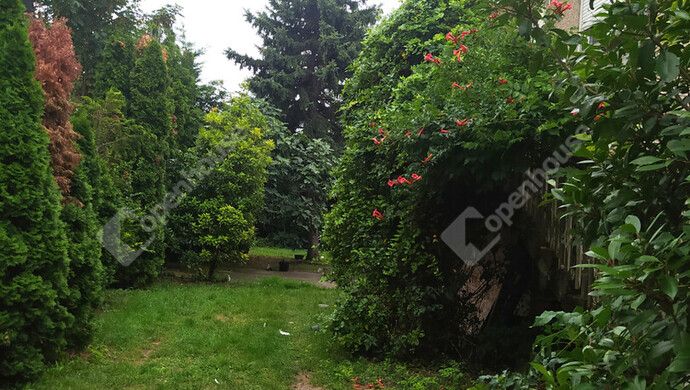 12. kép | Eladó Családi ház, Komárom (#176329)