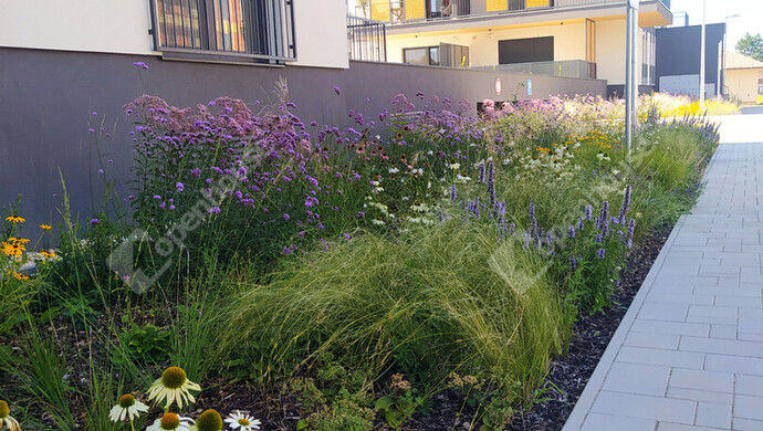 14. kép | Eladó Társasházi lakás, Komárno (#176568)