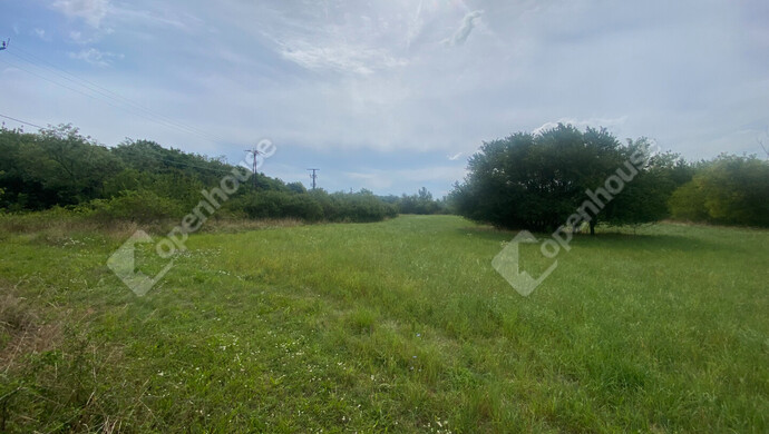 1. kép | Eladó Telek, Hegyeshalom (#176910)