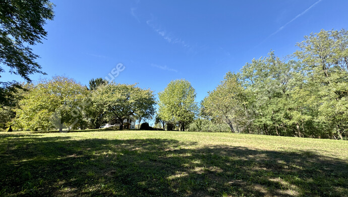 7. kép | Eladó Családi ház, Galambok (#177440)