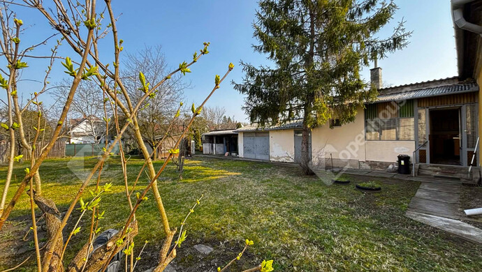 6. kép | Eladó Családi ház, Balatonszentgyörgy (#179413)