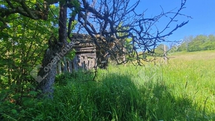 2. kép | Eladó Telek, Csapi (#181638)