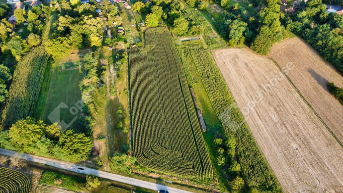 16. kép | Eladó Telek, Nagykutas (#176517)