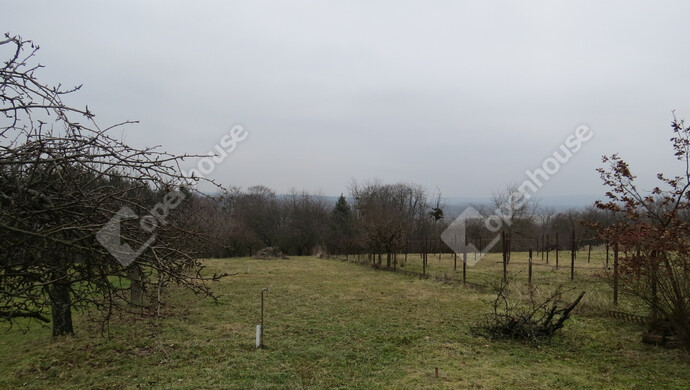 13. kép | Eladó Zárt kert, Lenti (#179558)