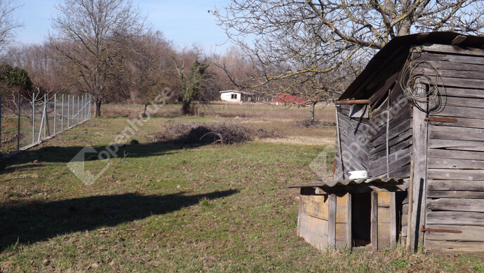 30. kép | Eladó Családi ház, Somlószőlős (#179906)