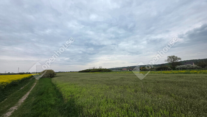 8. kép | Eladó Telek, Mályi (#181153)