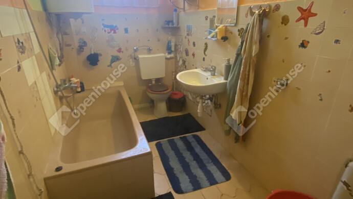 12. kép | Eladó Családi ház, Alsózsolca (#176220)