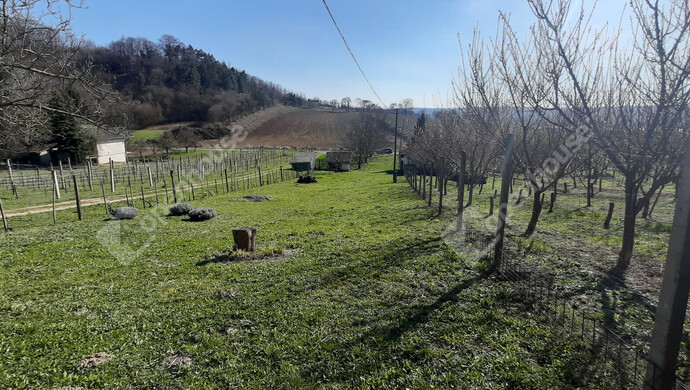 10. kép | Eladó Családi ház, Gősfa (#178305)