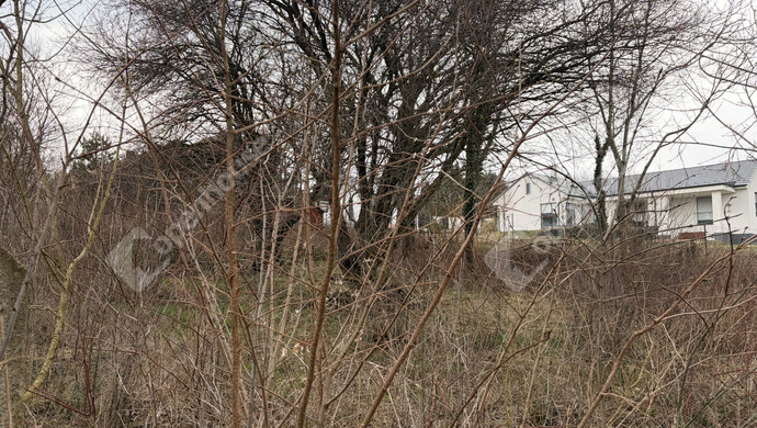 4. kép | Eladó Telek, Kiskutas (#180245)