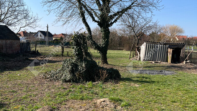 12. kép | Eladó Családi ház, Hegykő (#180660)