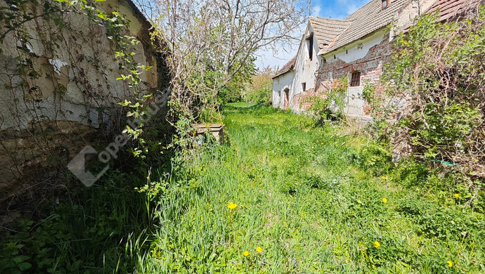 6. kép | Eladó Családi ház, Gór (#181312)