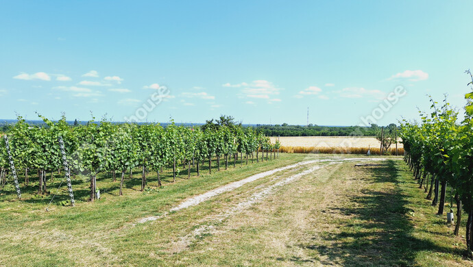 6. kép | Eladó Családi ház, Marcali (#177772)