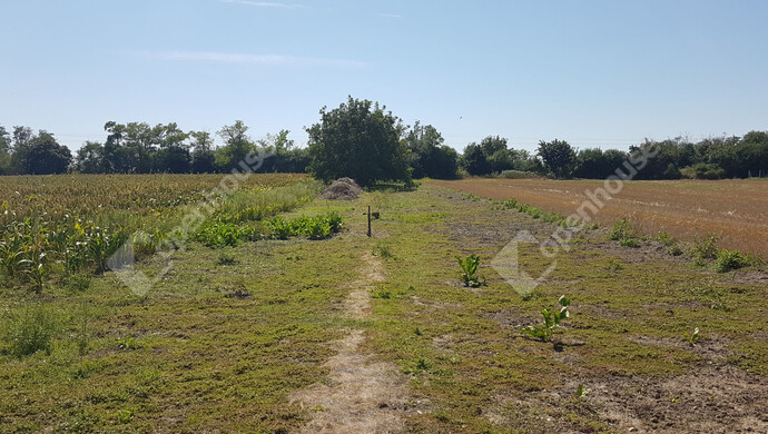 10. kép | Eladó Zárt kert, Levél (#178220)