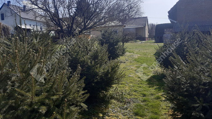 46. kép | Eladó Családi ház, Nagykanizsa (#180380)