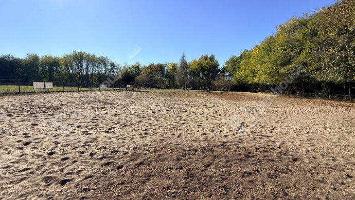 27. kép | Eladó Családi ház, Pilis (#178002)