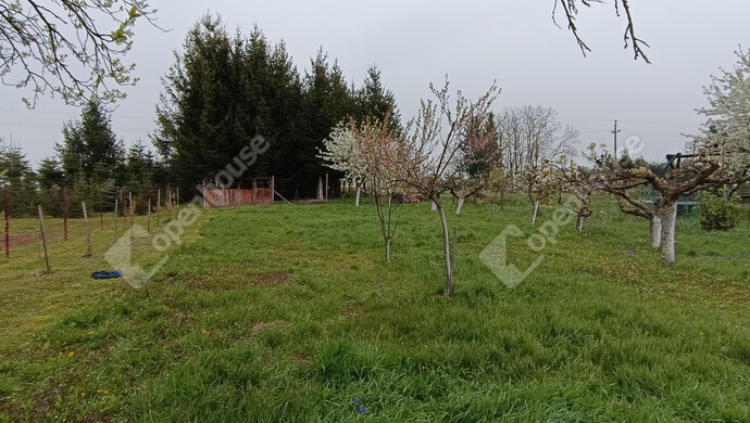 39. kép | Eladó Családi ház, Nagykanizsa (#181326)