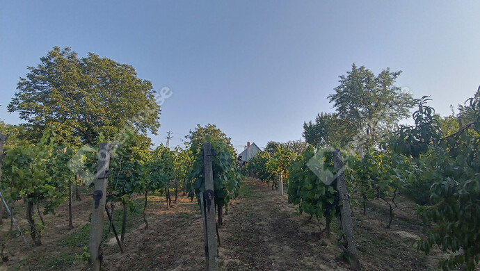 23. kép | Eladó Családi ház, Marcali (#177837)