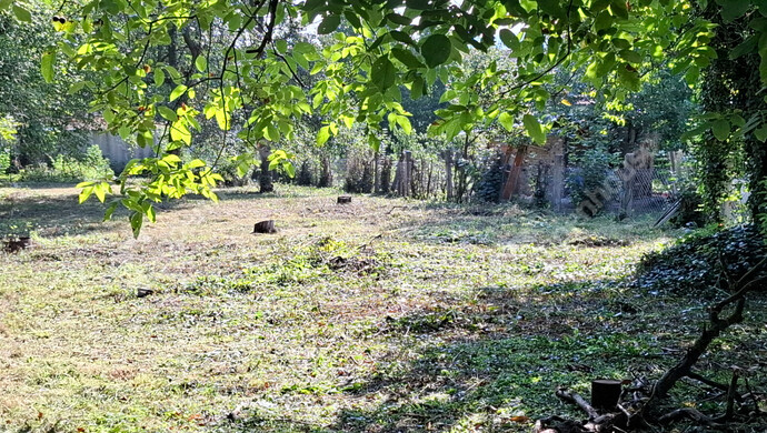 10. kép | Eladó Családi ház, Pálháza (#173726)