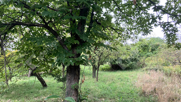 3. kép | Eladó Telek, Vöckönd (#177205)