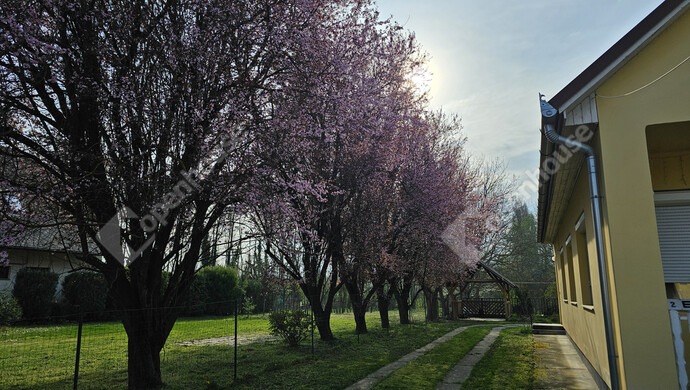 25. kép | Eladó Családi ház, Szőlősgyörök (#179158)