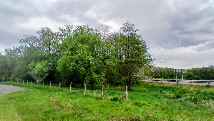 4. kép | Eladó Telek, Zalaegerszeg (#181405)