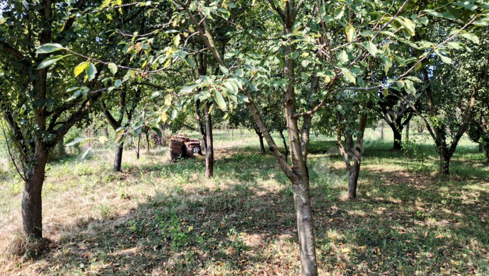 23. kép | Eladó Családi ház, Marcali (#179117)