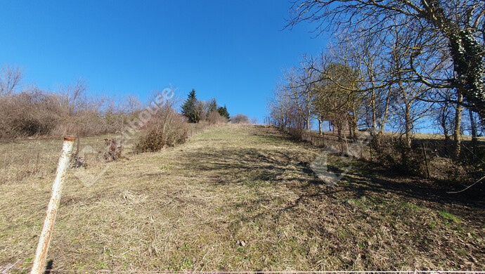 81. kép | Eladó Nyaraló, Homokkomárom (#180173)