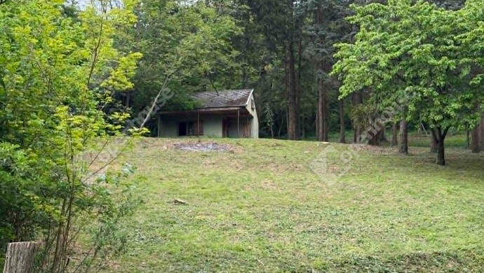 24. kép | Eladó Zárt kert, Zalaegerszeg (#181449)