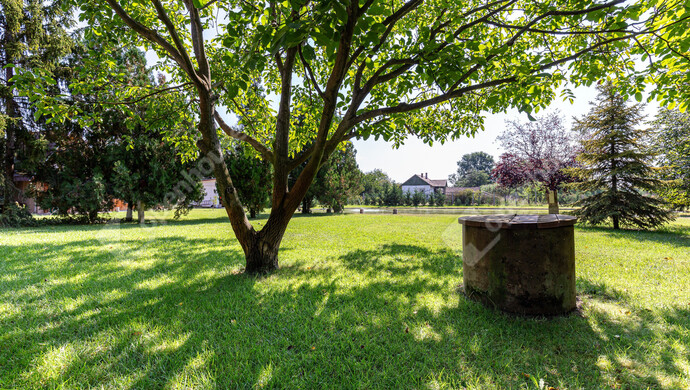 4. kép | Eladó Tanya, Szatymaz (#177035)