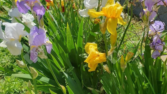 23. kép | Eladó Családi ház, Zalaegerszeg (#177461)