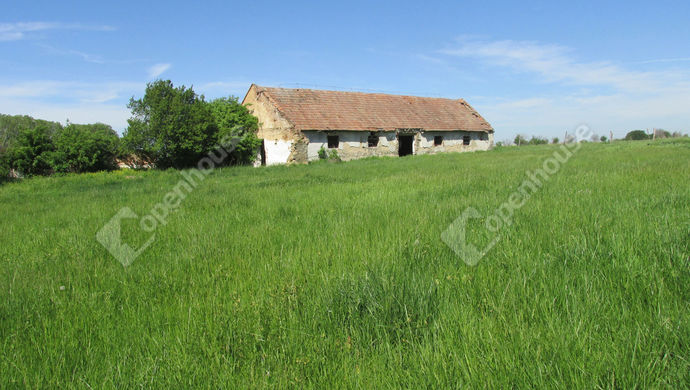 6. kép | Eladó Mezőgazdasági, Kemenespálfa (#128718)